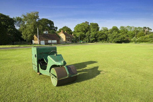 Where can you experience a traditional English village cricket match?